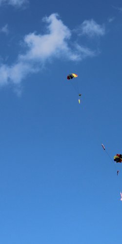 Ruzovy Panter navrat